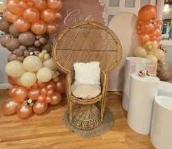Chair 1