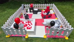 Junior Adventure Black & Red
