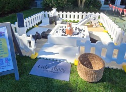 Tiny Adventure First Rodeo