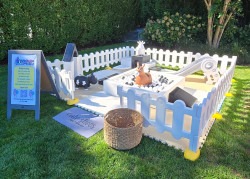 20250830 101418 1759344215 Tiny Adventure First Rodeo