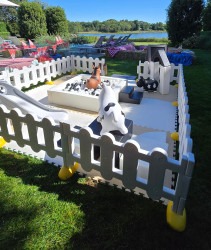 20250830 101536 1759344215 Tiny Adventure First Rodeo