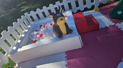 20251017 142152 1761088213 Tiny Christmas Adventure