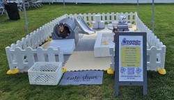 IMG 20250928 WA0019 1759347113 Junior Adventure Beige