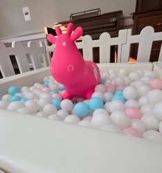 Junior Adventure Pastel 20251123 101142 1765237274 Junior Adventure Pastel